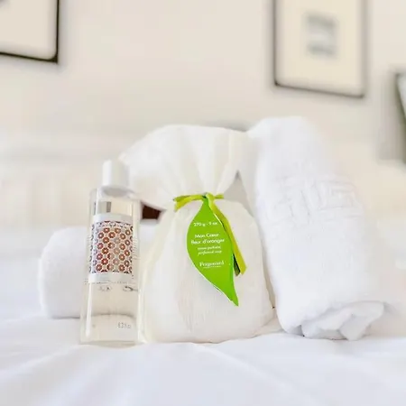 Le Bel Epoque - Centre Apartment Cannes